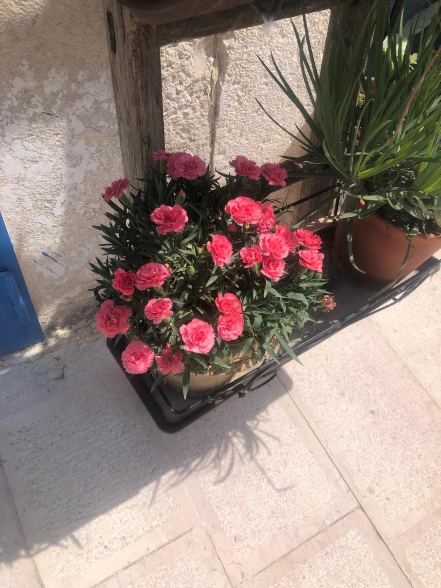 Holiday home Nostos *